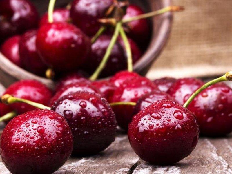 Вишня купить саженцы из питомника в Ангарске